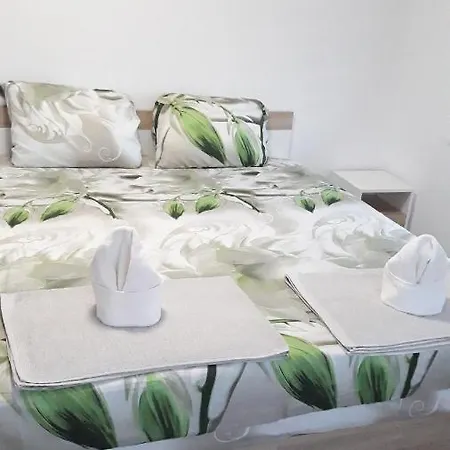 ゲストハウス Briz Apartament *